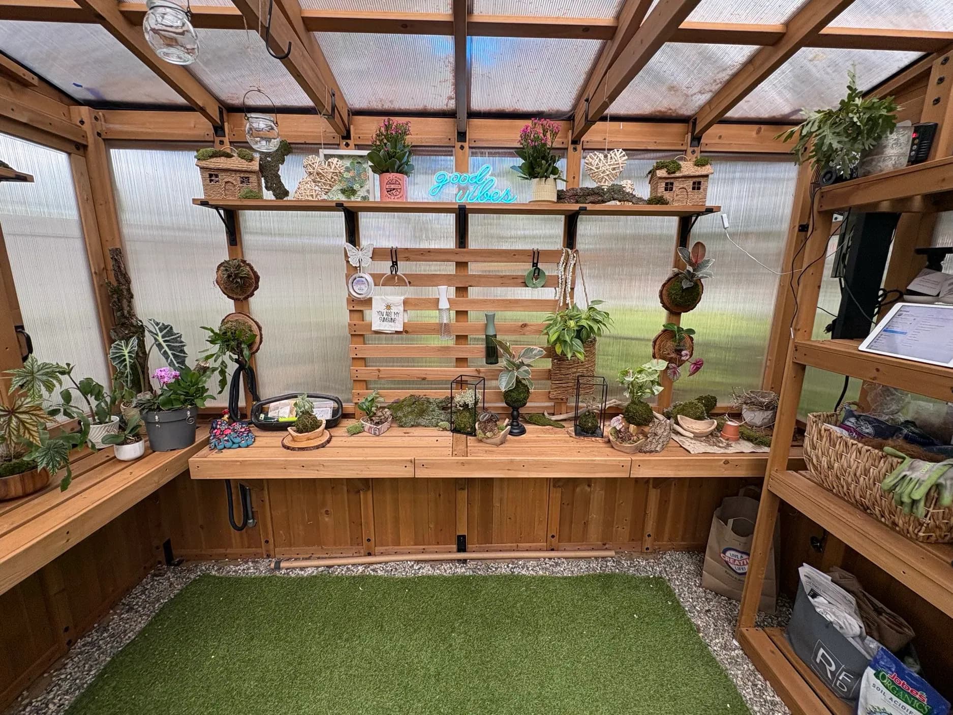 Inside the greenhouse studio: cedar shelves lined with plants